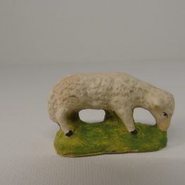 Mouton qui broute Mouton qui broute