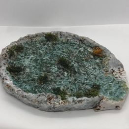 lac